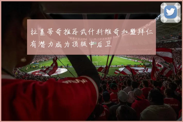 拉基蒂奇推荐武什科维奇加盟拜仁有潜力成为顶级中后卫