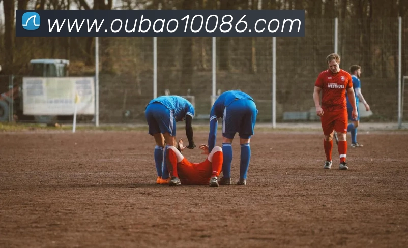 欧宝体育平台生态图